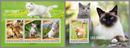 CENTRAL AFRICAN 2023 MNH Cats Katzen M/S+S/S – IMPERFORATED – DHQ2415 - Domestic Cats