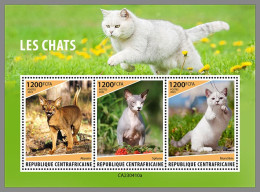 CENTRAL AFRICAN 2023 MNH Cats Katzen M/S – IMPERFORATED – DHQ2415 - Gatos Domésticos