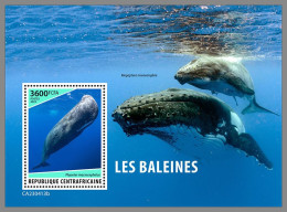 CENTRAL AFRICAN 2023 MNH Whales Wale S/S – OFFICIAL ISSUE – DHQ2415 - Baleines