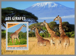 CENTRAL AFRICAN 2023 MNH Giraffes Giraffen S/S – OFFICIAL ISSUE – DHQ2415 - Girafes