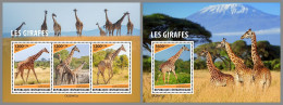 CENTRAL AFRICAN 2023 MNH Giraffes Giraffen M/S+S/S – OFFICIAL ISSUE – DHQ2415 - Girafes