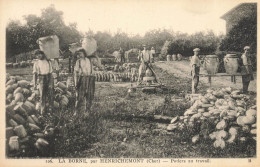 La Borne Par Henrichemont * Potiers Au Travail * Poterie Potier Pots Métier - Henrichemont