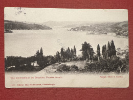 Cartolina - Vue Panoramique Du Bosphore - Constantinople - 1900 Ca. - Unclassified