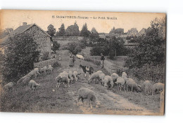 SAINT SAUVEUR - Le Petit Moulin - Très Bon état - Saint Sauveur En Puisaye