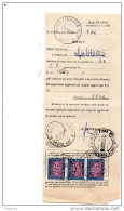 1990 MODULO CON ANNULLO AQUILA - Taxe