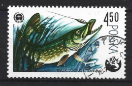 Poland 1979 Fish Y.T. 2445 (0) - Oblitérés
