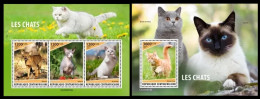 Central Africa 2023 Cats. (410) OFFICIAL ISSUE - Domestic Cats