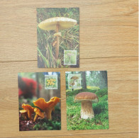 Aland 2003 Set Mushroom/Pilze Stamps (Michel 214/16) Used On Illustrated Postcards - Aland