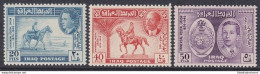 1949 IRAQ/IRAK - SG 339/341 Set Of 3 MNH/** - Iraq