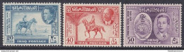 1949 IRAQ/IRAK - SG 339/341 Set Of 3 MNH/** - Irak