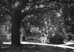 01 PEROUGES Cité Médiévale Place Du Tilleul Arbre De La Liberté   31 (scan Recto Verso)KEVREN0708 - Pérouges