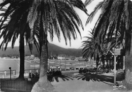 83 SAINTE MAXIME Sur MER  Vue Prise De La Place  Des Palmiers  50 (scan Recto Verso)KEVREN0729 - Sainte-Maxime