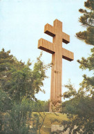 52 COLOMBEY LES DEUX EGLISES   La Croix De Lorainne Mémorial   8 (scan Recto Verso)KEVREN0754 - Colombey Les Deux Eglises