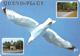 80  QUAND Plage Les PINS  Petit Train église Et MOUETTE       7 (scan Recto Verso)KEVREN0755 - Quend