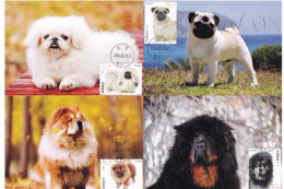 China Maximum Card，2006-6 Dog, 4 pcs - Maximum Cards