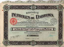 ACTION - Société Des Pétroles De DABROWA - Petrolio