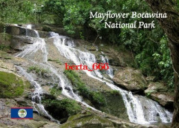 Belize Mayflower Bocawina National Park Waterfalls New Postcard - Belice