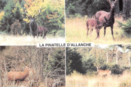 15 ALLANCHE La Pinatelle Le Bourg, 15170 Neussargues En Pinatelle Animaux Sauvages  215 / KEVREN0772 - Allanche