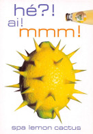 SPA LEMON CACTUS Eau Minérale Spa Province De Liège  Alcool Boisson PUB Publicité  N° 141 \KEVREN0775 - Advertising