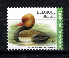 Belgique Oiseaux Buzin 2018 Nette Rousse COB 4759 Associations - Ongebruikt