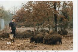 Livernon Francis Grimal Eleveur Sangliers Photo Jacques Decros - Livernon