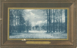 Bruxelles 1906; Lac Du Bois (relief) - Voyagé. (C.V.) - Foreste, Parchi, Giardini