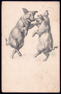 +++ CPA - Fantaisie - Couple De Cochons En Train De Danser - Pig - Illustrateur? - 1906  // - Cochons