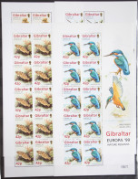 Gibraltar 852-855 Postfrisch Als Kleinbogensatz, Vögel #GD813 - Gibilterra