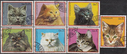 PARAGUAY 1982, FAUNA, CATS, COMPLETE USED SERIES With GOOD QUALITY - Paraguay