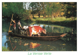 FRANCE - La Venise Verte - Barque - Hommes - Carte Postale - Altri & Non Classificati