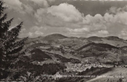 134481 - Schönau Im Schwarzwald - Mit Belchen - Loerrach