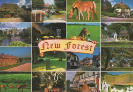 NEW FOREST, MULTIVUE  COULEUR REF 15435 - Other & Unclassified
