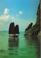 VIET-NAM - Hà Long Bay - Un Chien - Gardien De La Plage - Carte Postale - Vietnam