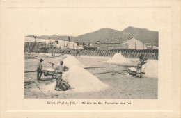 Hyères * Les Salins D'hyères * La Récolte Du Sel * Formation Des Tas * Paludiers Marais Salants - Hyeres