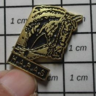 SP18 Pin's Pins / Beau Et Rare / ANIMAUX / TETE DE CHEVAL NOIR ET OR HARAS H.A.R.A.S. - Animaux