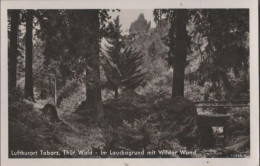 58572 - Tabarz - Im Lauchagrund Mit Wilder Wand - 1952 - Tabarz