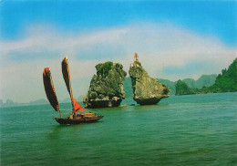 VIET-NAM - Hà Nôi - L'île Ga Choi - Colorisé - Carte Postale - Vietnam