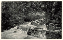 BELGIQUE - Vallée De La Hoegne - Le Chêne Rustique - Vue Générale - Carte Postale Ancienne - Autres & Non Classés