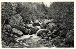 BELGIQUE - Vallée De La Hoegne - Vue Sur Les Cascatelles - Rochers - Vue Générale - Carte Postale Ancienne - Altri & Non Classificati