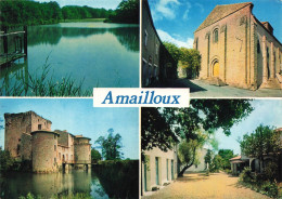 FRANCE - Amailloux - L'étang De La Sablière - L'église - Le Château De Tenessus - Foyer St François - Carte Postale - Autres & Non Classés