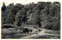 BELGIQUE - Vallée De La Hoegne - Vue Sur Le Pont Du Centenaire - Rochers - Vue Générale - Carte Postale Ancienne - Altri & Non Classificati