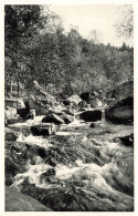 BELGIQUE - Vallée De La Hoegne - Vue Sur Les Cascatelles - Rochers - Vue Générale - Carte Postale Ancienne - Sonstige & Ohne Zuordnung