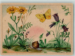 39799502 - Schnecke Blumen - Butterflies