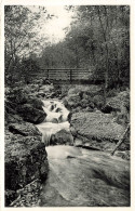 BELGIQUE - Vallée De La Hoegne - Vue Sur Le Pont Des Forestiers - Rochers - Vue Générale - Carte Postale Ancienne - Otros & Sin Clasificación