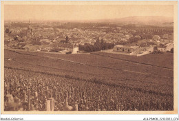 ALBP5-08-0440 - Collection CHAMPAGNE POMMERY & GRENO - REIMS - Ay En Champagne