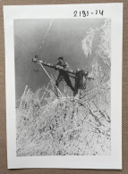 POWERLINE WORKER - 14,5 X 10 Cm. (REPRO PHOTO ! Zie Beschrijving, Voir Description) ! - Profesiones