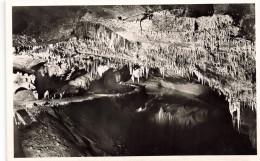 BELGIQUE - Les Grottes De Han Sur Lesse - Vue De L'intérieure - La Salle Des Draperies - Carte Postale Ancienne - Namur