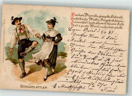 10720302 - Schuhplattler Tracht  Dindl - Dans