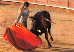 Corrida De Toros (SCAN RECTO VERSO)MA0081 - Corrida