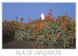 Ile De La Jonquera Lanzarote (SCAN RECTO VERSO)MA0081 - Lanzarote